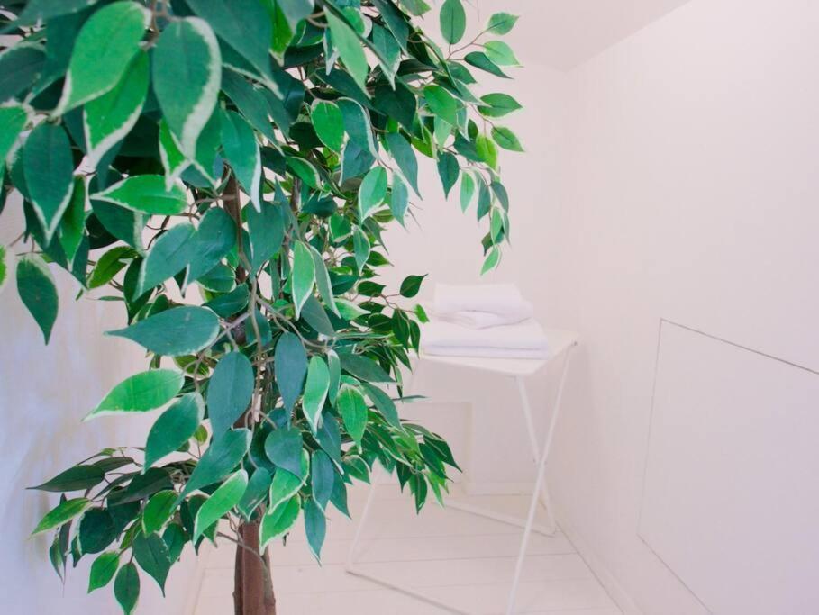Bright Flat In Oltrarno Appartement Florence