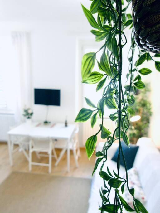 Bright Flat In Oltrarno Appartement